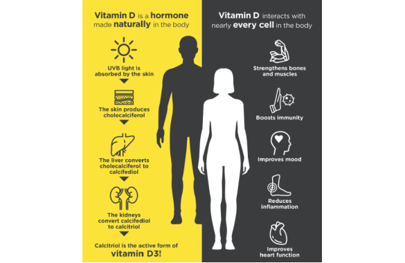 Vitamin D3: An Indispensable Power Source for Your Health